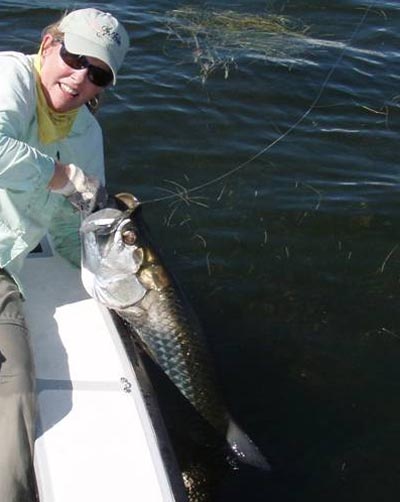 Cindy Russell, a world class fly angler, spends a day with Capt. Hunt in Everglades National Park pursuing Megalops atlanticus. >Captain Dave Hunt, an Orvis endorsed guide, has been fishing Everglades National Park for a lifetime. 