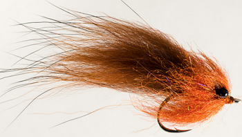 I know you don’t have this one - Saltwater Fly Tyer’s Finn Coon Destroyer Copper / Orange. Photo courtesy Saltwater Fly Tyers.