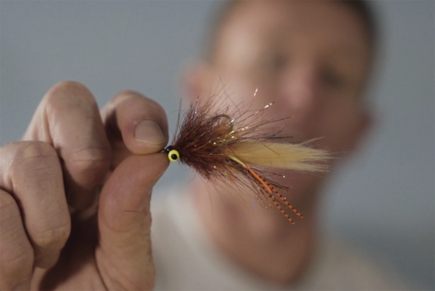 At The Vise: For those of us voting for Redfish in any election
