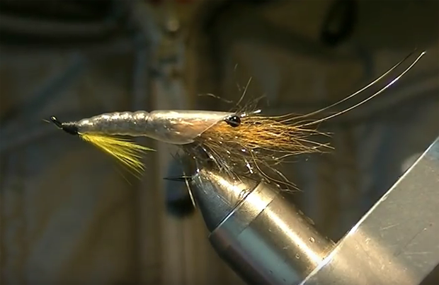 Fly Tying: A shrimp pattern you should serve