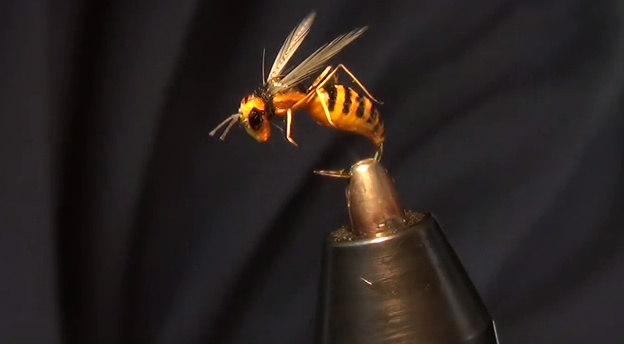 At The Vise: Realistic medical glove body wasp fly