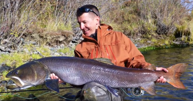 Video: These behemoth Taimen are large salmonids