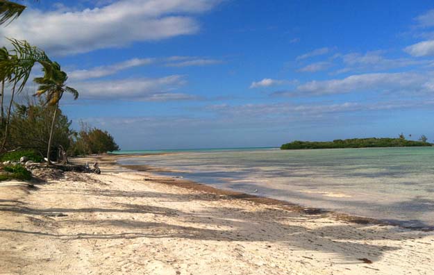 The beach and flat at Swain's Cay Lodge, Andros, Bahamas. “Bonefiting in Paradise.” Image by 2 flygirls.com
