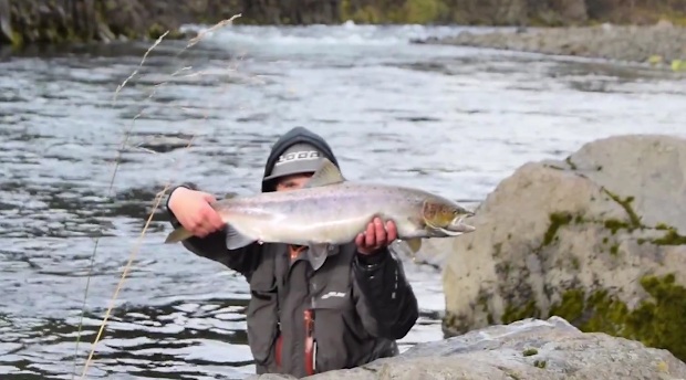 Video: Fly fishing Iceland 2016