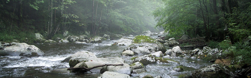 Learn to say goodbye to some trout stream in America. Sorry, it is Not Great Again to pass a bill that allows (guarantees) pollution. Image credit Little River Outfitters, Townsend, TN. 