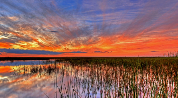 Seagrass die-off and how freshwater from the Everglades gets into Florida Bay