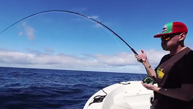Video: Fly fishing for blue sharks off the coast of San Diego