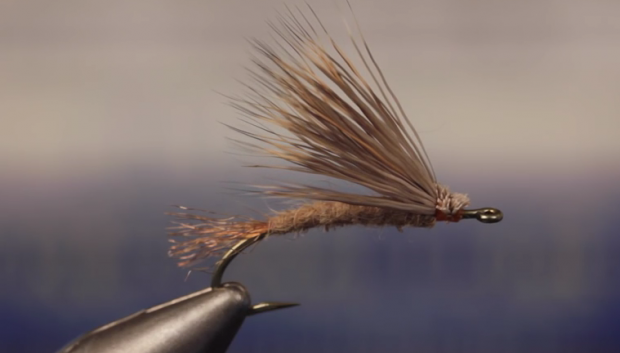 At The Vise: March Brown Emerger… emerging soon.