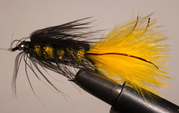 Wooly Bugger: The most famous fly of all time? - Fly Life Magazine