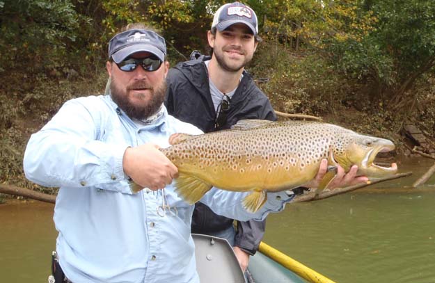 Brown Trout: The Angler’s Notepad
