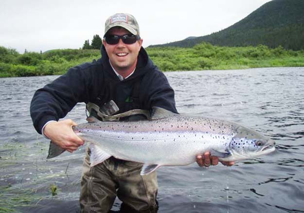 Atlantic salmon, north of north in Norway