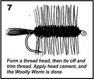 Beginner Fly Tying: #10 The Woolly Worm - Fly Life Magazine