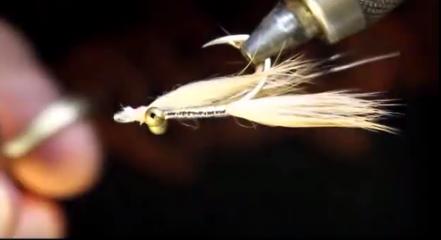 At The Vise: The good old Gotcha
