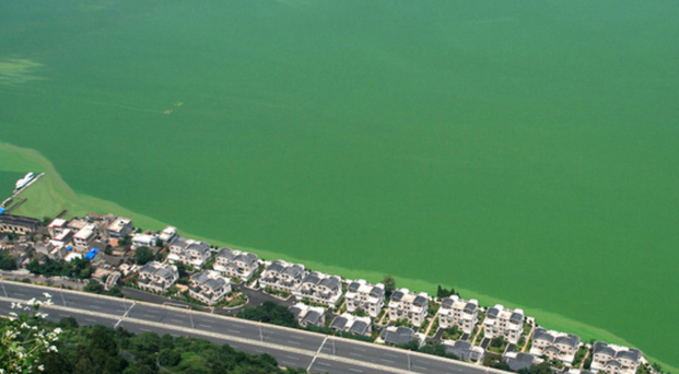 EAA reservoir plan presented to Florida senators