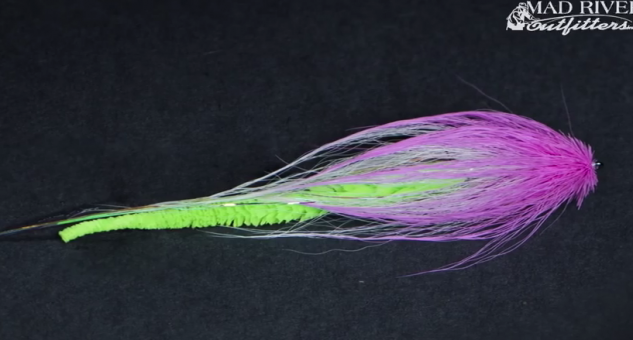 At The Vise: Bulkhead Deceiver with Dragon Tail