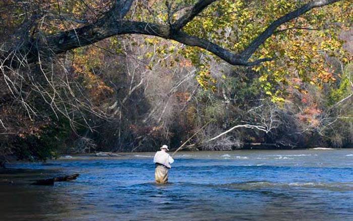 Chattahoochee Trout, the ‘Compleat Anglers’ playbook
