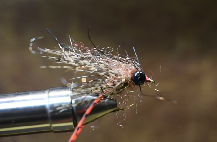 Carp Crack, a fly pattern that plays well on gameday