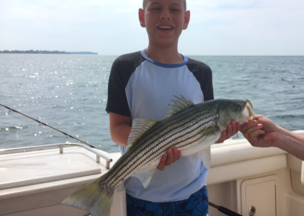 Striped Bass Management: When will we learn?