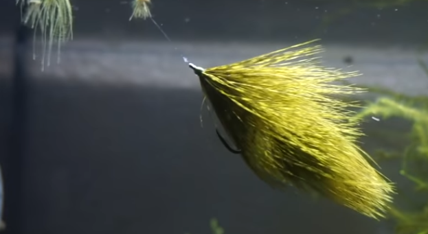 Fly Tying: Is the Articulated Brahma better than a Wooly Bugger?