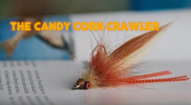 At The Vise: Candy Corn Crawler