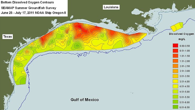 New Jersey-size ‘Dead Zone’ is largest ever in Gulf of Mexico