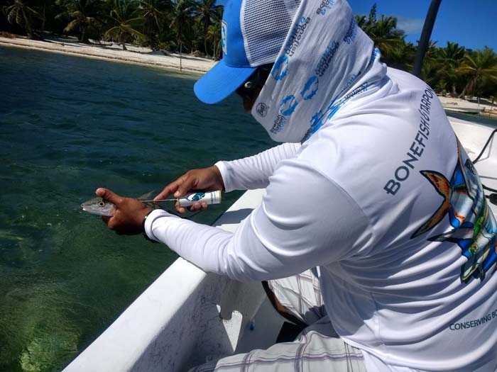 Bonefish & Tarpon Trust forges ahead with egalité