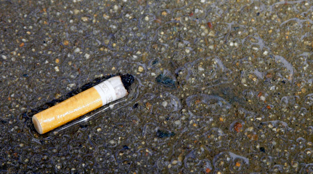 Cigarette butts are the ocean’s single largest source of trash