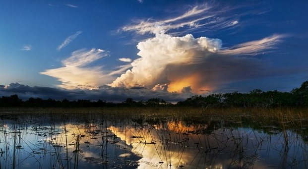Trump’s budget has less for Everglades projects