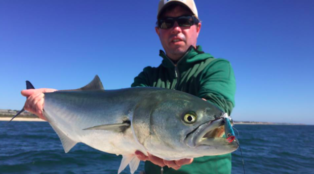 American Saltwater Guides Association launches