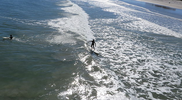 Meet Florida’s chief science officer. He’s a surfer dude, academic and water expert .