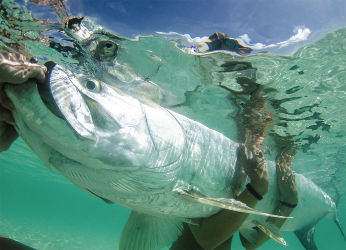 “Habitat is the future of Florida fisheries”