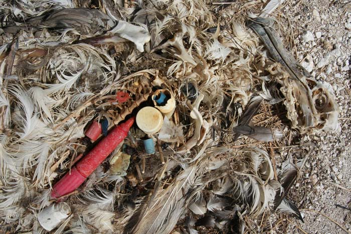 99% of the billions of tons of plastic we’ve dumped in the oceans is missing?