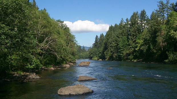 Salmon return to Oregon river to spawn after $2M restoration project