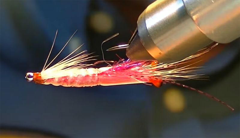 Fly Tying: Redfish D-Day is here. They’re feeding from North Carolina to Texas