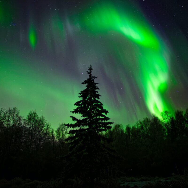 Aurora in Alaska