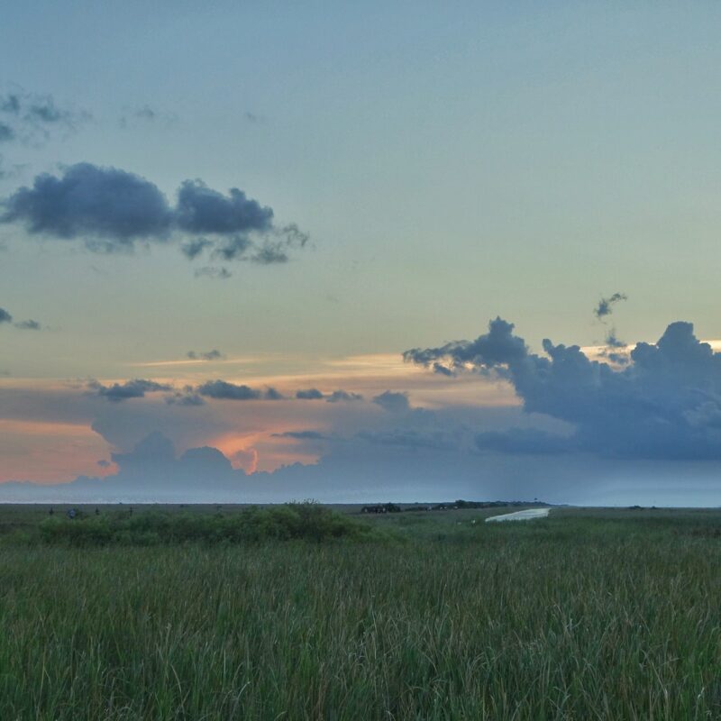 Florida Everglades