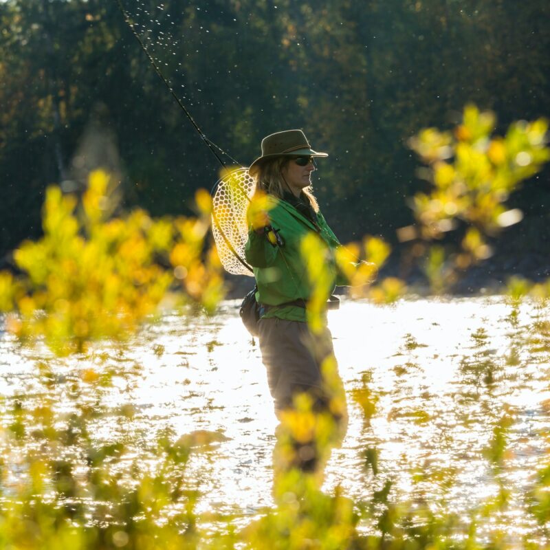 Fly fisherwoman casting & fishing on river, British Colombia, Canada.