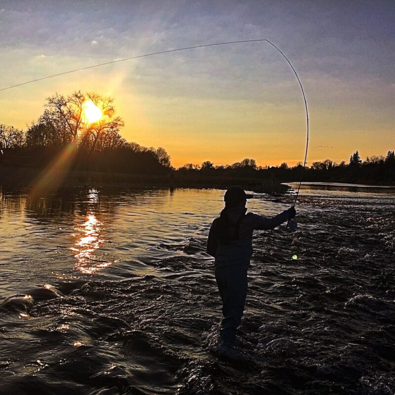 Fly Fishing the American River