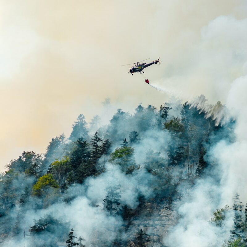 extinguishing a forest fire