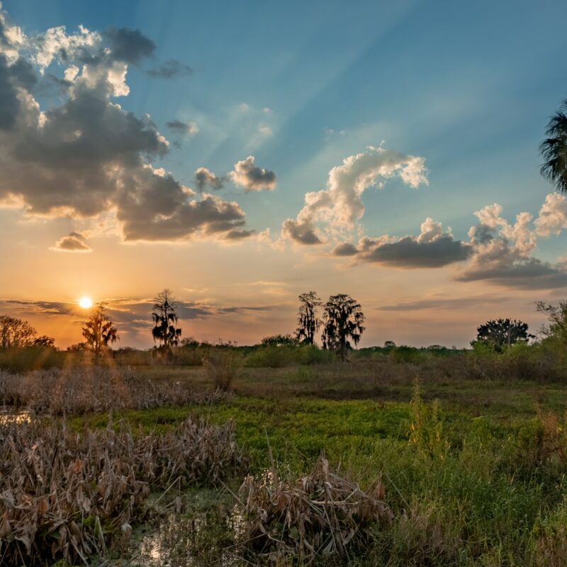Sunset Over Everglades National Park