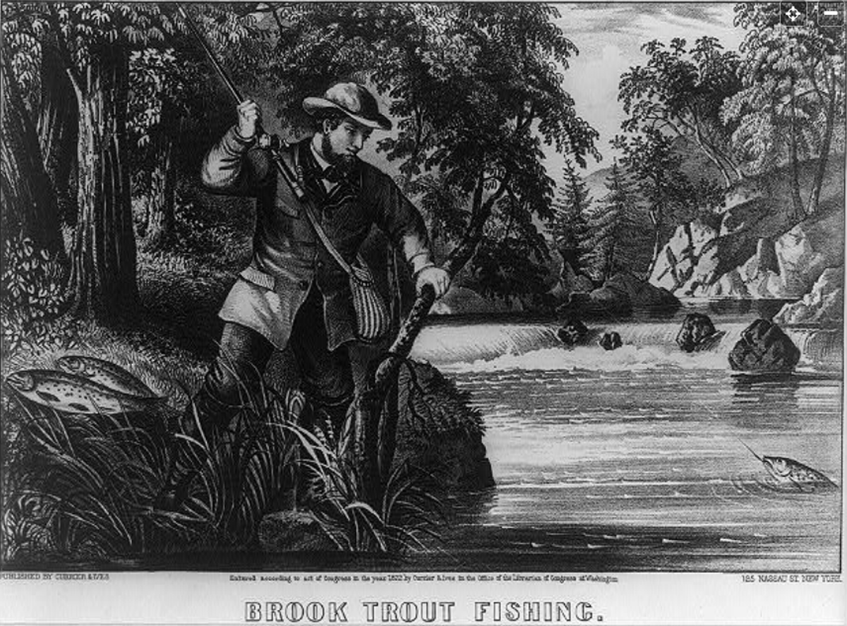 Background: What’s wrong with Brook Trout?
