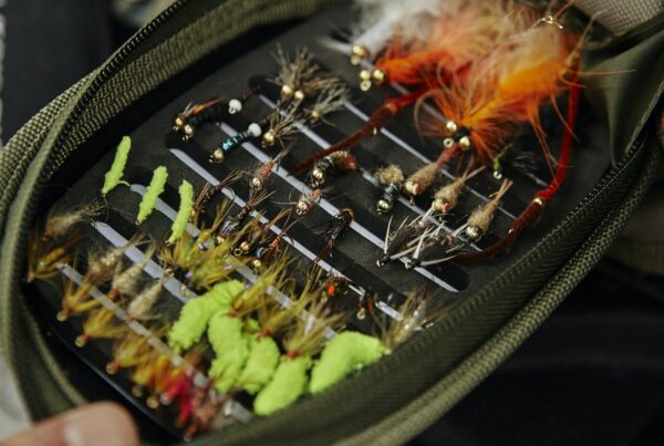 Selection fishing flies in storage container, close-up