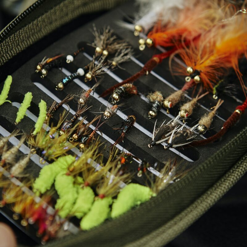 Selection fishing flies in storage container, close-up