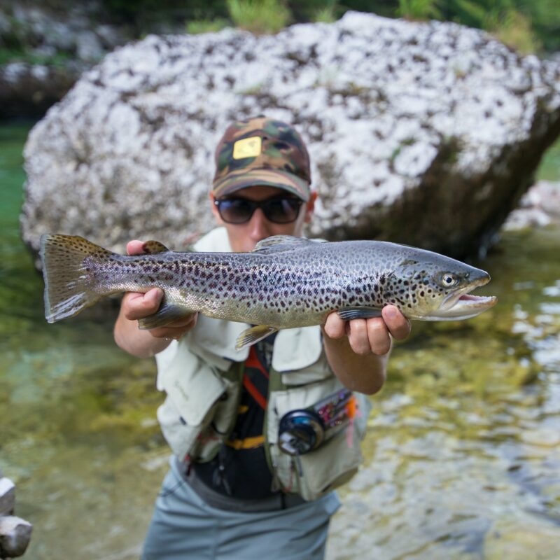 Fly fisherman with brown trout