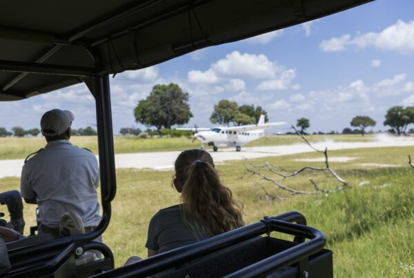 bush plane on dirt runway,landing, Botswana