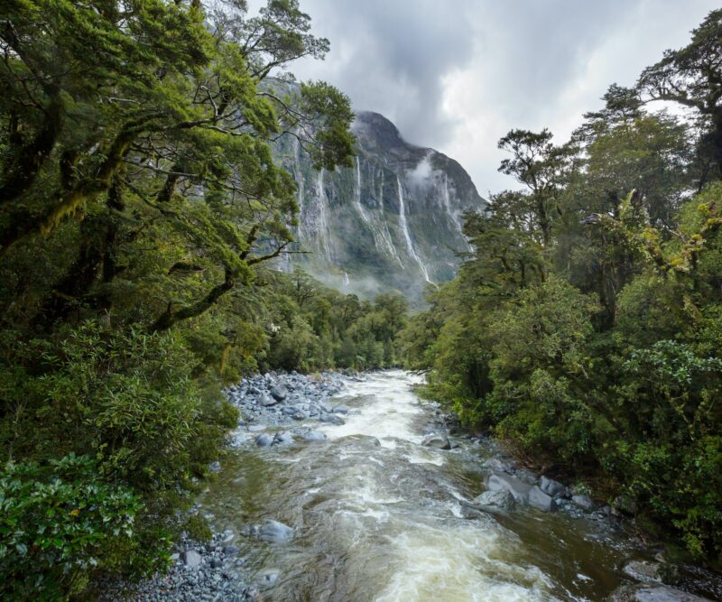 New Zealand river