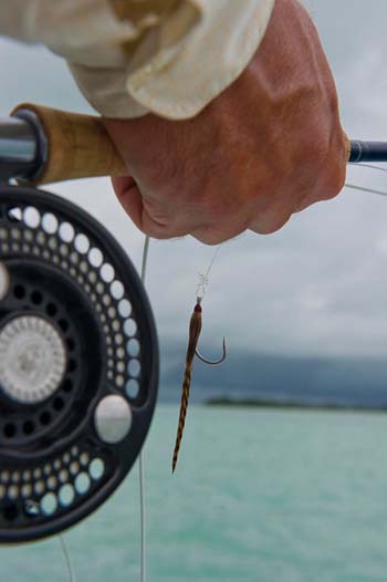 Bonefish Part VI: Equipage, rod, and reel, and you, head to toe - Fly Life  Magazine