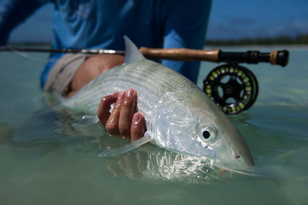 Bonefish Part VI: Equipage, rod, and reel, and you, head to toe