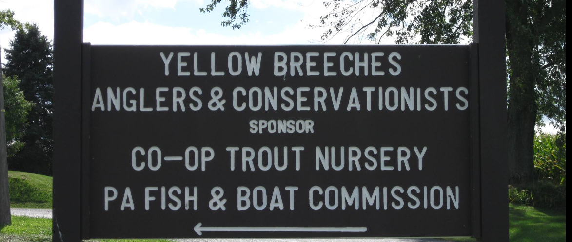 Regional Reminder: Yellow Breeches Spring Outdoor Show