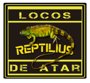 Logo Reptilius Fly Tying